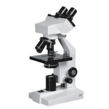 Sliding Free Binocular Head Microscope with Mechanical Stage